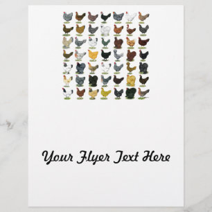 Prospectus 21,6 Cm X 24,94 Cm 49 poules de poulet