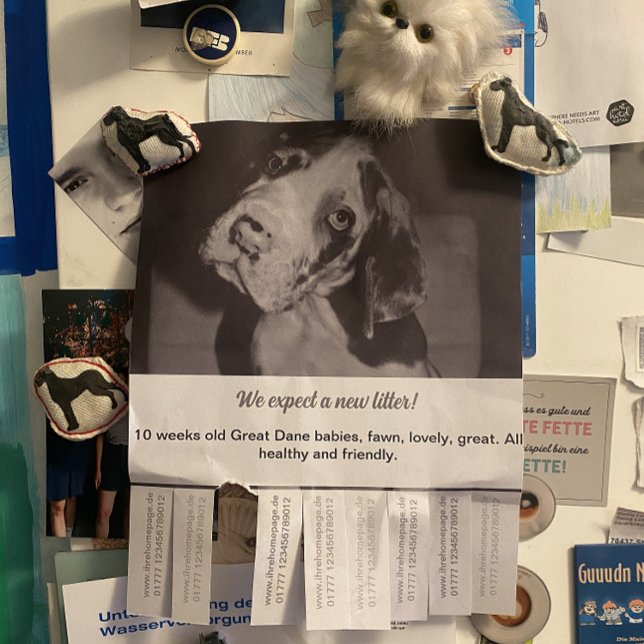 Prospectus 21,6 Cm X 24,94 Cm Acheter Dépliant Chiot vendant rouge vert (Créateur téléchargé)