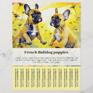 Prospectus 21,6 Cm X 24,94 Cm Affiche chiot Bouledogue Français