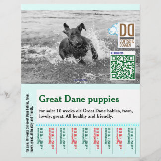 Prospectus 21,6 Cm X 24,94 Cm Affiche de chien colorée à détacher