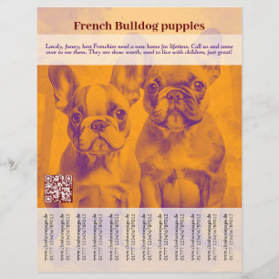 Prospectus 21,6 Cm X 24,94 Cm Affiche de chiot Bouledogue Français