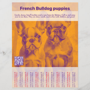 Prospectus 21,6 Cm X 24,94 Cm Affiche de chiot Bouledogue Français