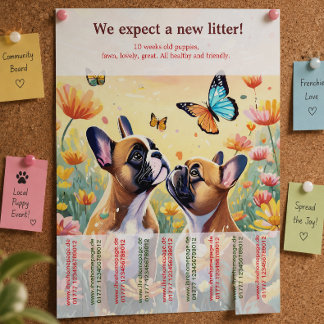 Prospectus 21,6 Cm X 24,94 Cm Affiche de chiots Bouledogue Français Ripp Off