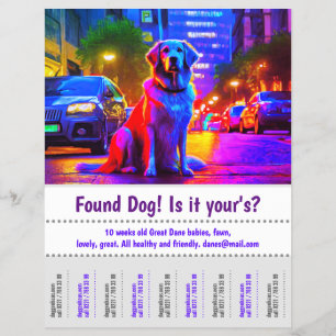 Prospectus 21,6 Cm X 24,94 Cm Affiche de conception graphique de chien trouvé