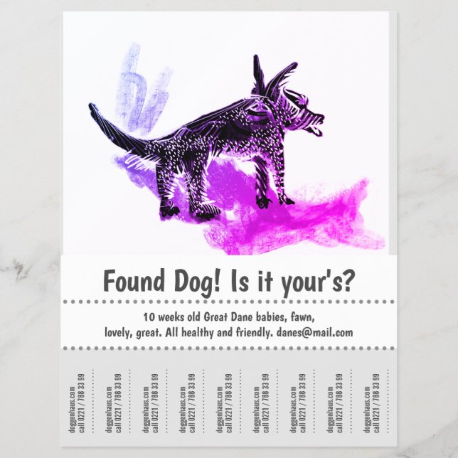 Prospectus 21,6 Cm X 24,94 Cm Affiche de Graphisme Chien Trouvé (Devant)