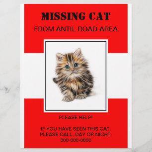 Prospectus 21,6 Cm X 24,94 Cm affiche de recherche d'animal de compagnie disparu