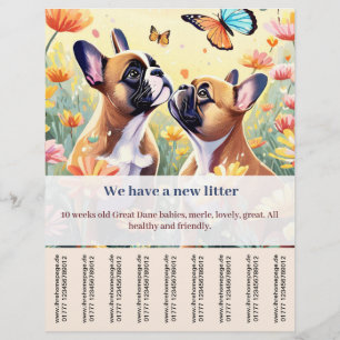 Prospectus 21,6 Cm X 24,94 Cm Affiche de vente de chiot Frenchie