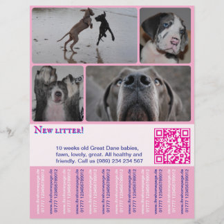 Prospectus 21,6 Cm X 24,94 Cm Affiche de vente de chiots designer 4 photos