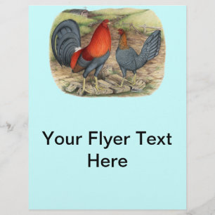 Prospectus 21,6 Cm X 24,94 Cm American Game Blue Reds