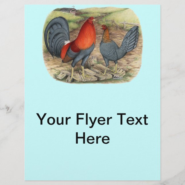 Prospectus 21,6 Cm X 24,94 Cm American Game Blue Reds (Devant)