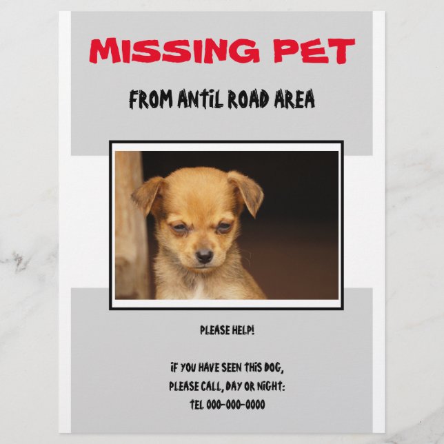 PROSPECTUS 21,6 CM X 24,94 CM ANIMAL DE COMPAGNIE PERDU 02  FLYER AFFICHE (Devant)