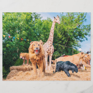 Prospectus 21,6 Cm X 24,94 Cm Animaux en peluche