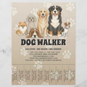 Prospectus 21,6 Cm X 24,94 Cm Assis Garde Animaux Mignons Promeneur Chiens Perso