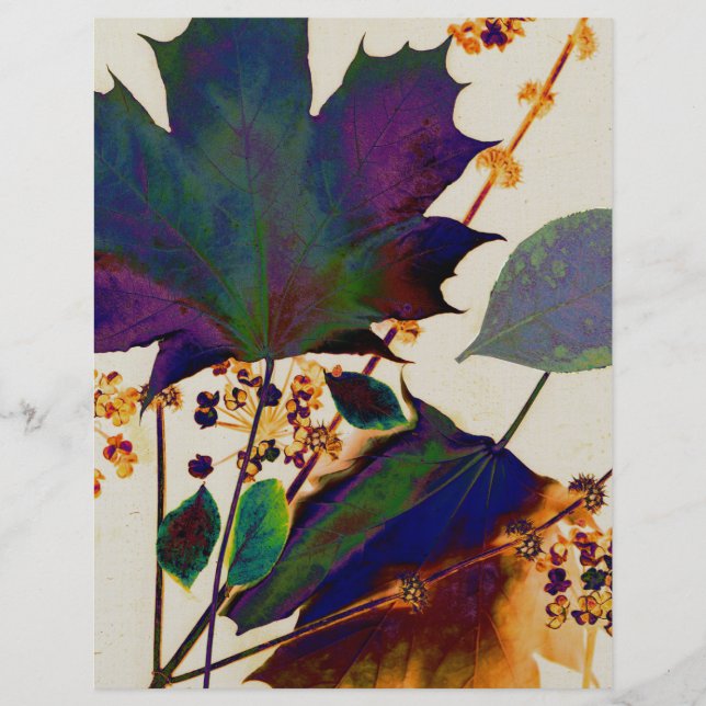 Prospectus 21,6 Cm X 24,94 Cm Autumn Leaves (Devant)