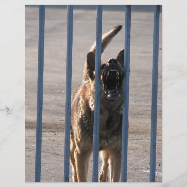 Prospectus 21,6 Cm X 24,94 Cm Barking (Devant)