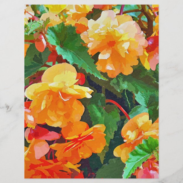 PROSPECTUS 21,6 CM X 24,94 CM BEGONIAS (Devant)