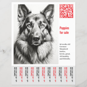 Prospectus 21,6 Cm X 24,94 Cm Berger Allemand Flyer 