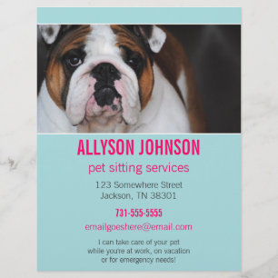 Prospectus 21,6 Cm X 24,94 Cm Blue & Pink Photo Pet Sitting Services flyer's 1
