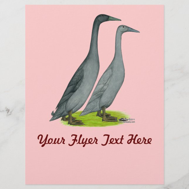 Prospectus 21,6 Cm X 24,94 Cm Blue Runner Ducks (Devant)