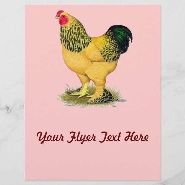 Prospectus 21,6 Cm X 24,94 Cm Brahma:  Buff Rooster (Devant)