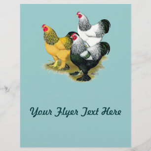 Prospectus 21,6 Cm X 24,94 Cm Brahmas Three Roosters