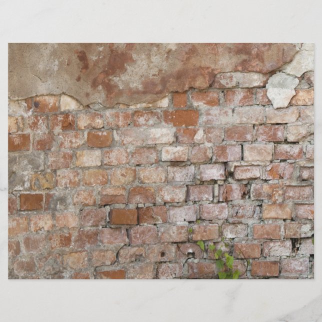 Prospectus 21,6 Cm X 24,94 Cm Brick wall (Devant)