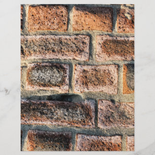 PROSPECTUS 21,6 CM X 24,94 CM BRIQUES