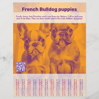 Prospectus 21,6 Cm X 24,94 Cm Brochure de Chien de Chien De Chien De Chien De Fr