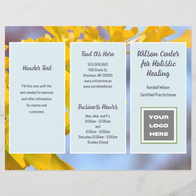 Prospectus 21,6 Cm X 24,94 Cm Brochure pliée du logo commercial Gingko (Devant)