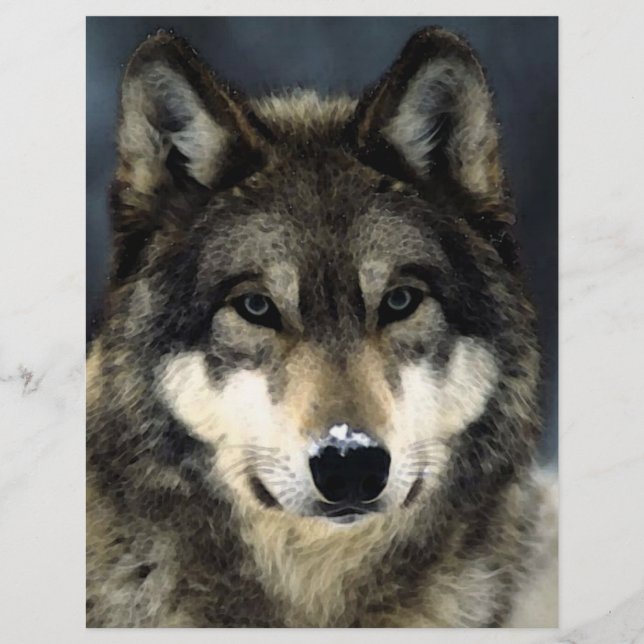 Prospectus 21,6 Cm X 24,94 Cm Brochure Wolf Portrait (Devant)