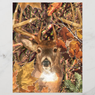 Prospectus 21,6 Cm X 24,94 Cm Buck in Camo White Tail Deer
