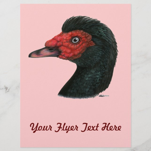 Prospectus 21,6 Cm X 24,94 Cm Canard : Muscovy Head (Devant)