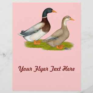 Prospectus 21,6 Cm X 24,94 Cm Canards de Saxe