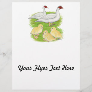 Prospectus 21,6 Cm X 24,94 Cm Canards Famille de Muscovy Blanc