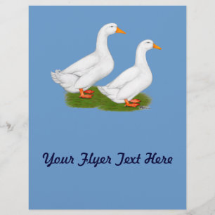 Prospectus 21,6 Cm X 24,94 Cm Canards :  Pekins blanc