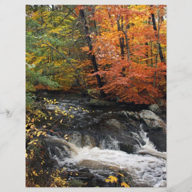 Prospectus 21,6 Cm X 24,94 Cm Cascade d'automne (Devant)