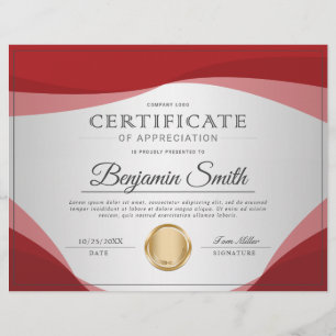 Prospectus 21,6 Cm X 24,94 Cm Certificat professionnel d'appréciation