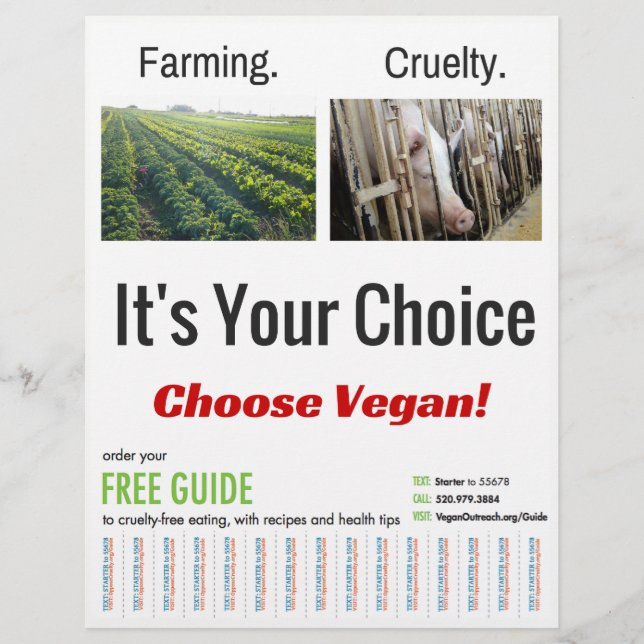 Prospectus 21,6 Cm X 24,94 Cm C'est ton choix (Devant)