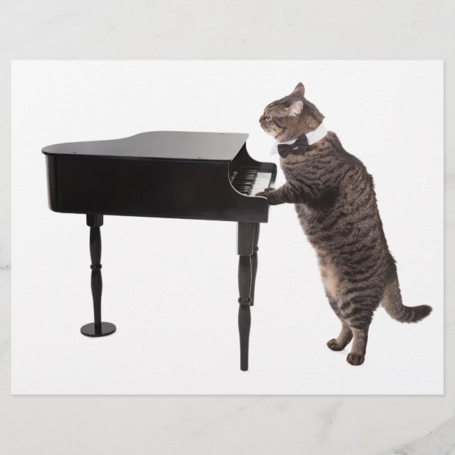 Prospectus 21,6 Cm X 24,94 Cm Chat Jouer Piano (Devant)