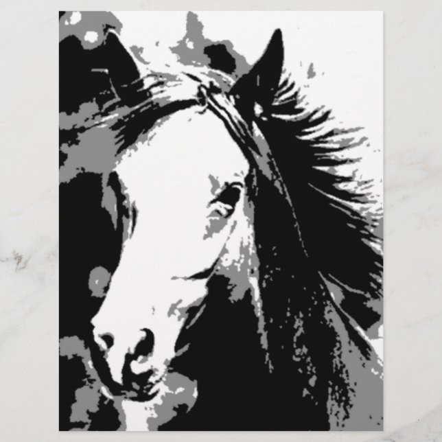 Prospectus 21,6 Cm X 24,94 Cm Cheval (Devant)