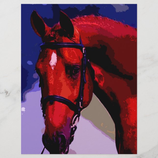 Prospectus 21,6 Cm X 24,94 Cm Cheval Head (Devant)