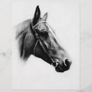 Prospectus 21,6 Cm X 24,94 Cm Cheval noir et blanc
