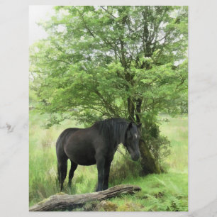 PROSPECTUS 21,6 CM X 24,94 CM CHEVAUX