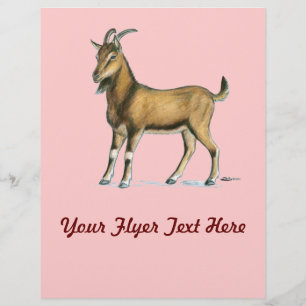 Prospectus 21,6 Cm X 24,94 Cm Chèvre : Brown