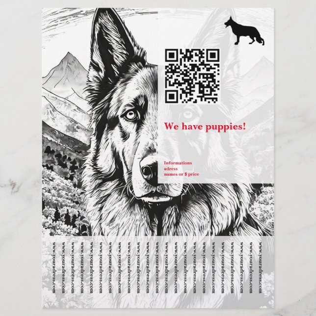 Prospectus 21,6 Cm X 24,94 Cm Chien berger Affiche (Devant)