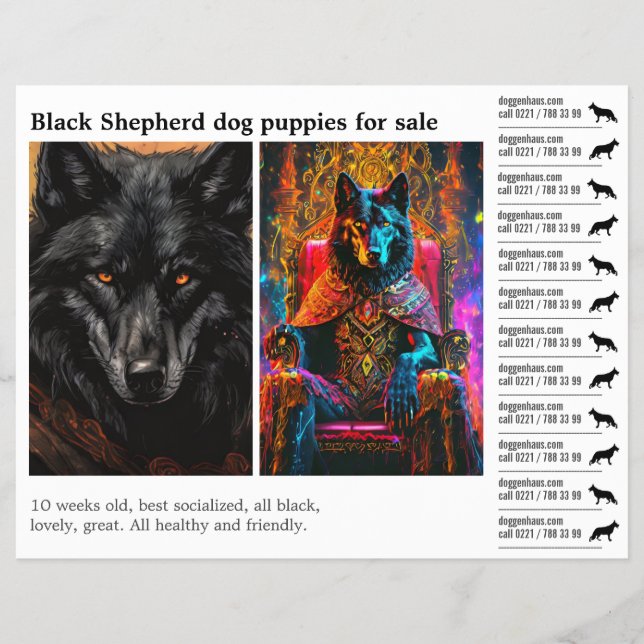 Prospectus 21,6 Cm X 24,94 Cm chien berger noir  (Devant)
