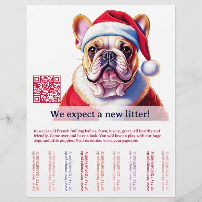 Prospectus 21,6 Cm X 24,94 Cm Chien et chat (Devant)