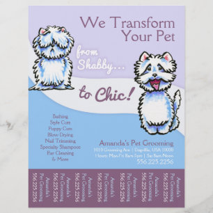 Prospectus 21,6 Cm X 24,94 Cm Chien Groomer Shabby Chic Westia Tear Sheet