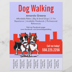 Prospectus 21,6 Cm X 24,94 Cm Chien Walking Walker Boston Terriers Tear Sheet