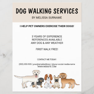 Prospectus 21,6 Cm X 24,94 Cm Chiens de Dessin Animé Mignons - Services de Prome
